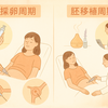 採卵周期と胚移植周期〜体外受精に使われる薬の違いと副作用のおはなし〜